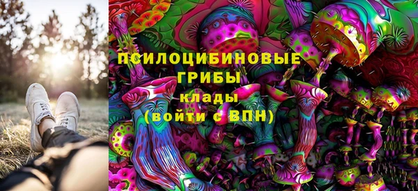 каннабис Алзамай