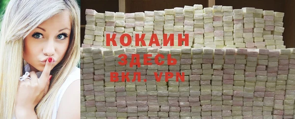 дмт Алексин