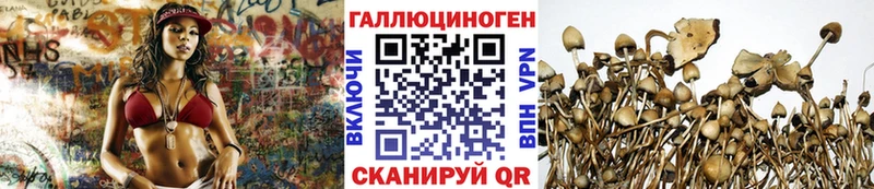 где найти наркотики  kraken вход  Псилоцибиновые грибы прущие грибы  даркнет состав  Змеиногорск 